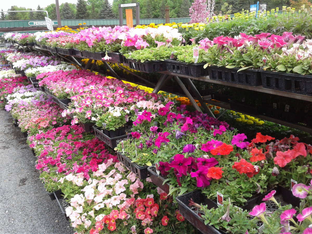 otten bros garden center & landscaping