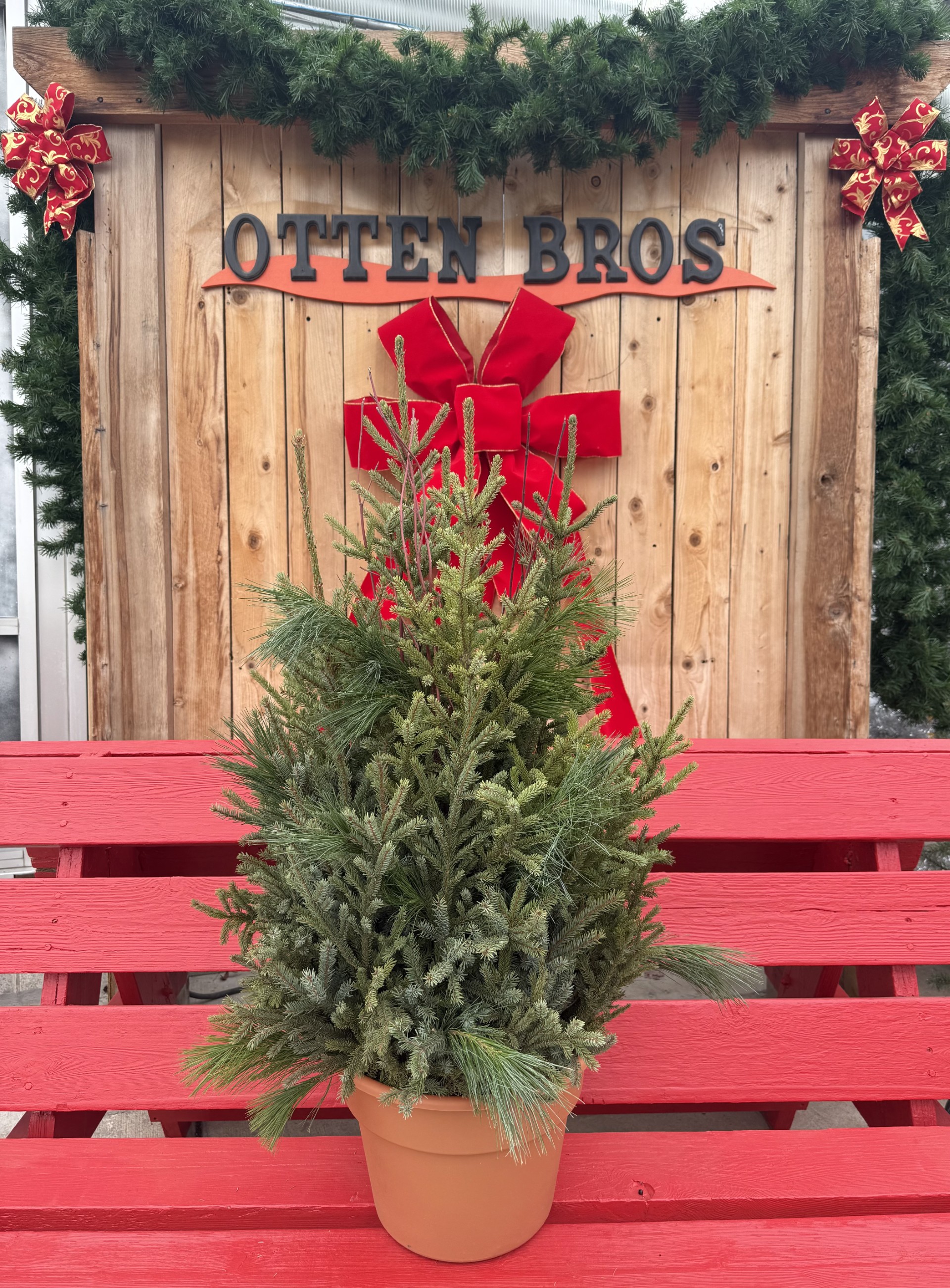 Spruce Tip Pot - 12"