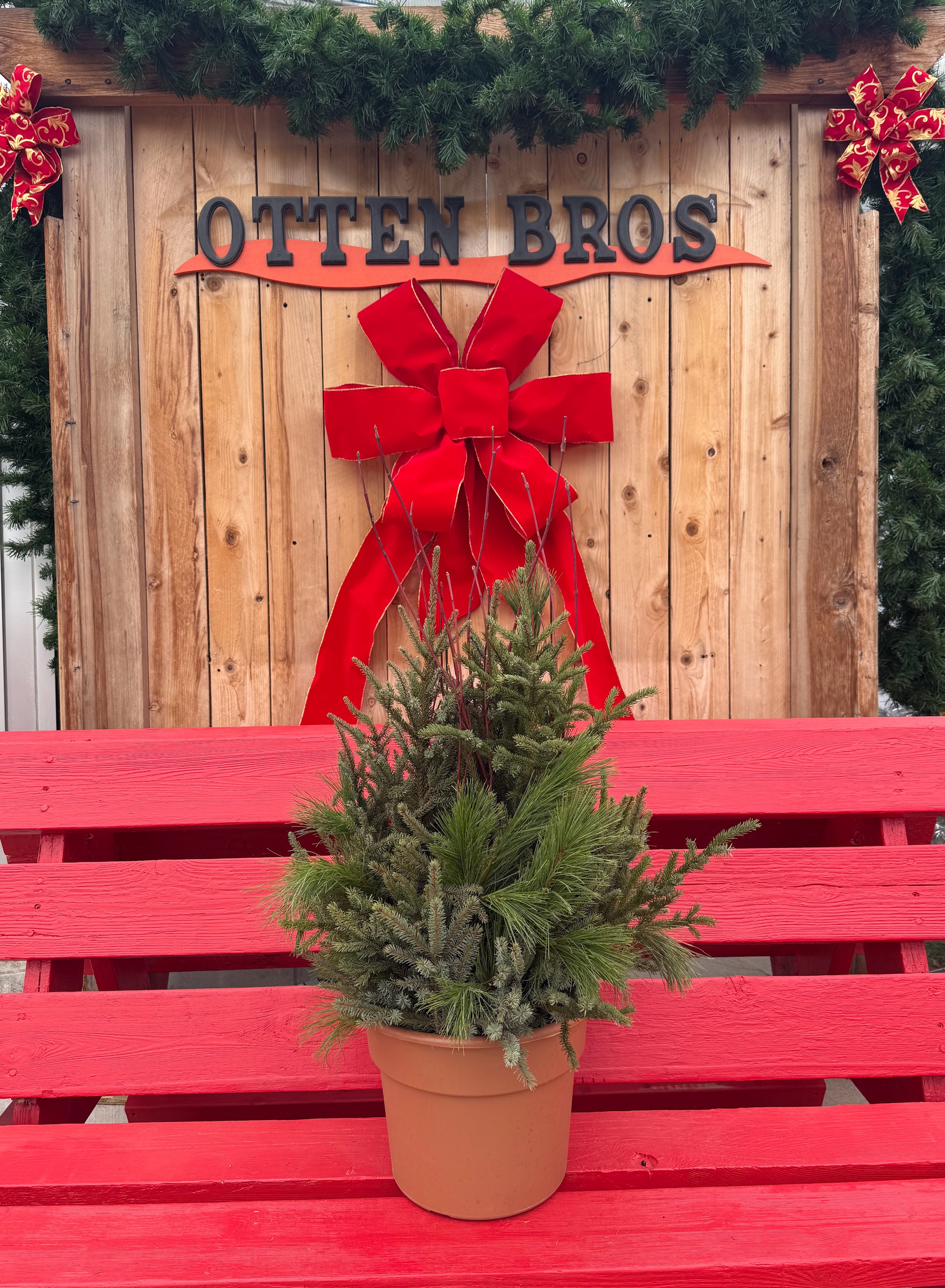 Spruce Tip Pot - 10"