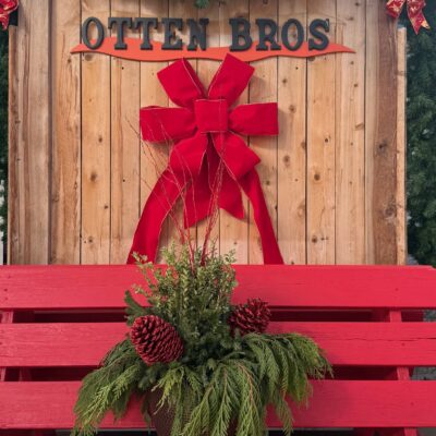 Sparkle Premium Pot - 12"