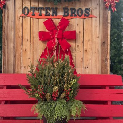 Gold Cone Premium Pot - 12"