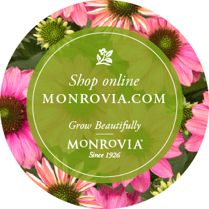 Shop Otten Bros. at Monrovia Online