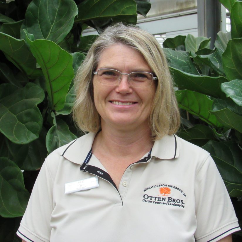 Meet Our Staff Otten Bros. Garden Center & Landscaping Long Lake, MN