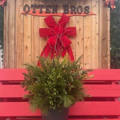 Mixed Greens Premium Pot- 10"